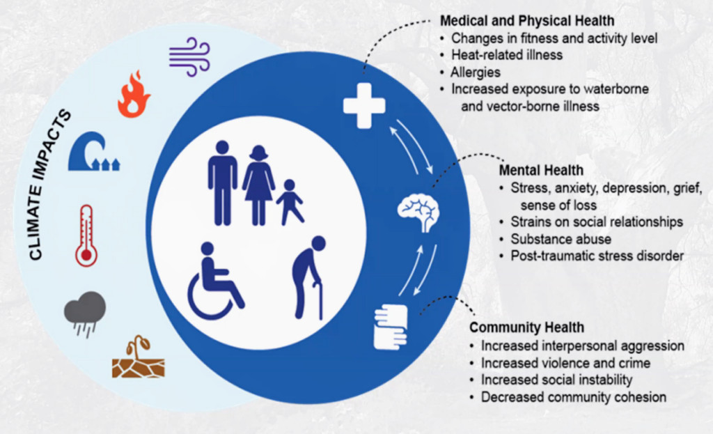 Climate change heath impacts poster